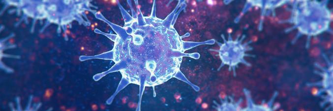 coronavirus