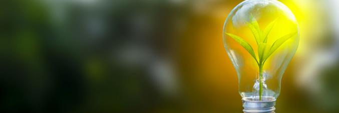 lampadina natura