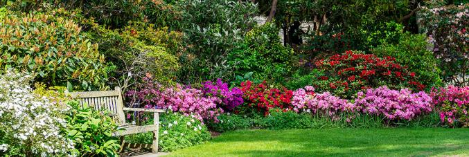 giardino