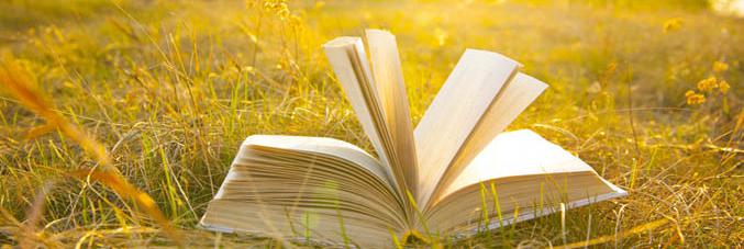 libro al sole