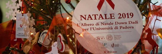 natale 19