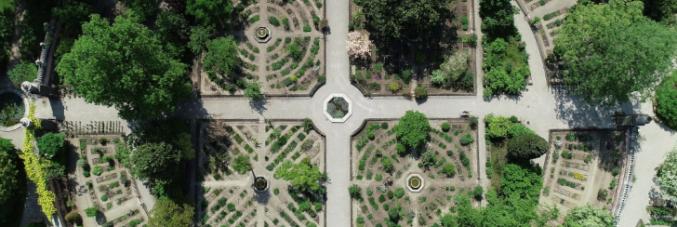 botanical garden