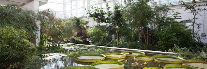 Le serre del Giardino della biodiversità