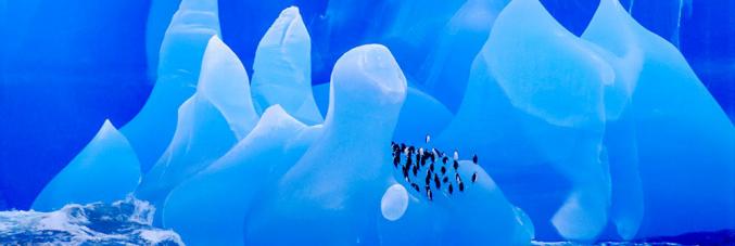 14A_PF_5 - © Frans Lanting 14A_PF_5 - © Frans Lanting