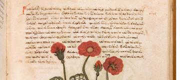 manuscript
