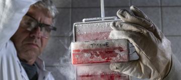 Cryostorage of biomaterial at the Leibniz-IZW 2_photo by Jon A. Juarez