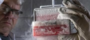 biomaterial