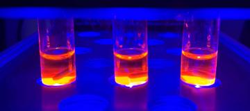 prove laboratorio