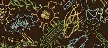 microbs