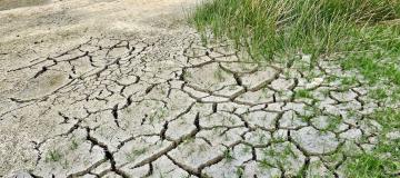 cambiamenti ecosistema
