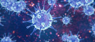 virus