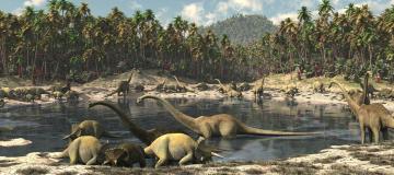 dinosauri