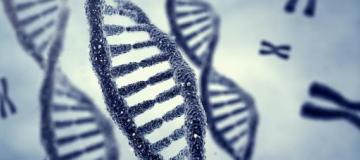 dna