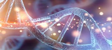dna