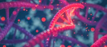 dna