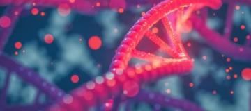 dna rosa
