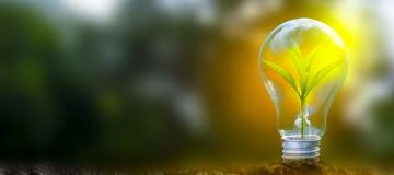 lampadina natura