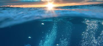 mare