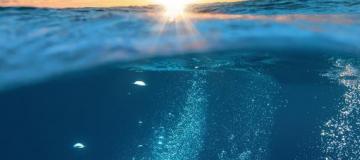 sea