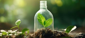 plastic bottle with green leaves inside