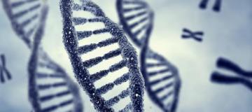 dna