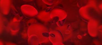 blood